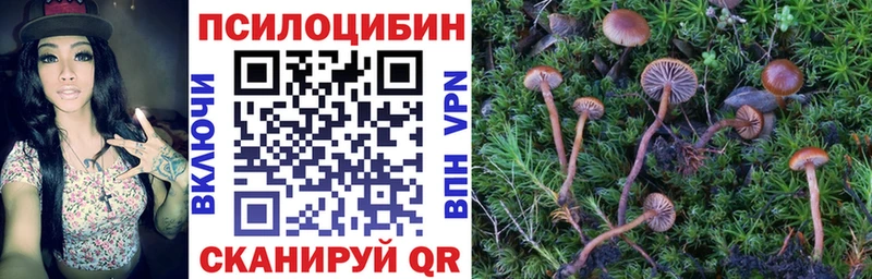 Псилоцибиновые грибы мицелий  Щёкино 